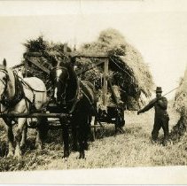 Photograph, Black-and-White